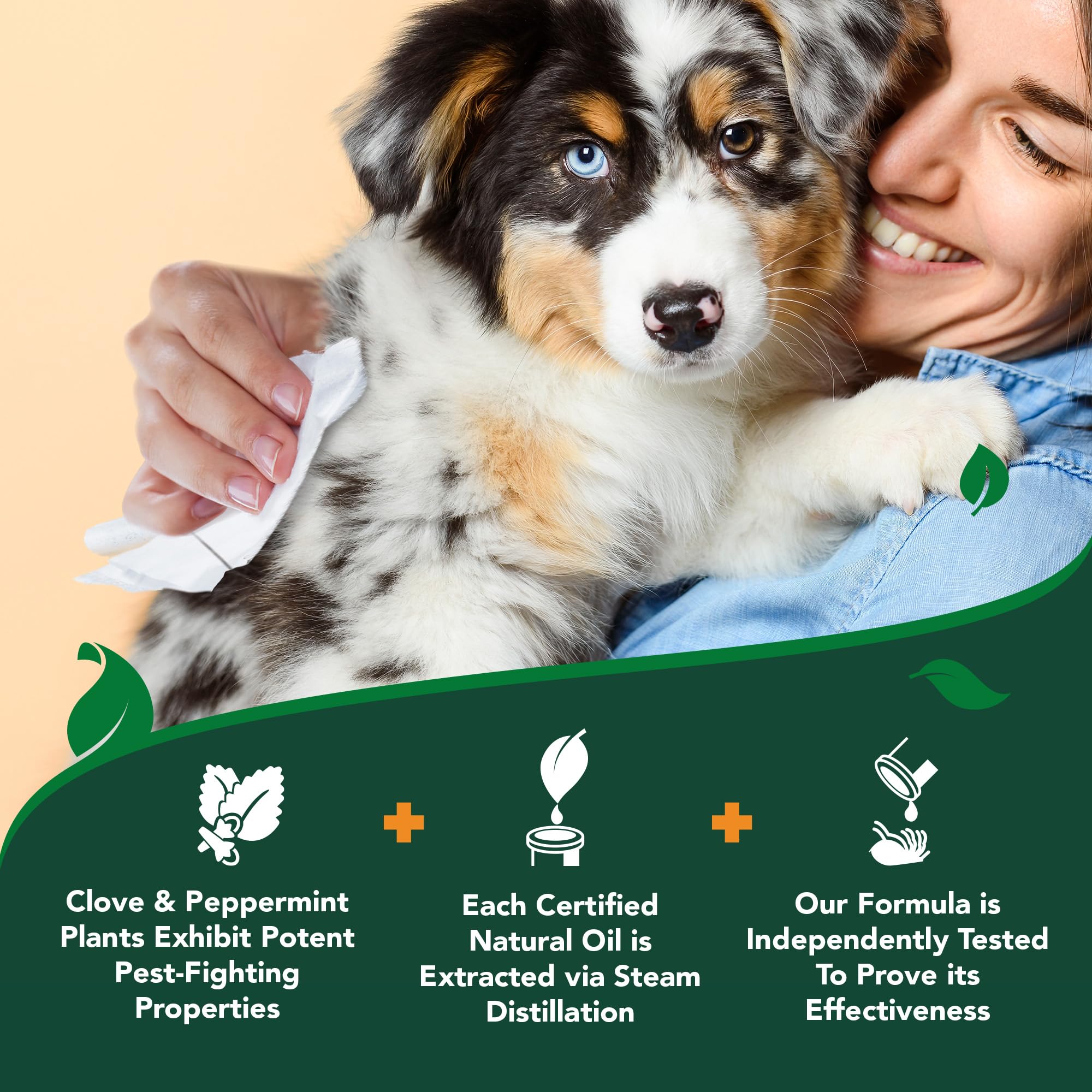 Vet's Best toallitas para perros, cerca del envase, limpieza de jaulas y superficies.