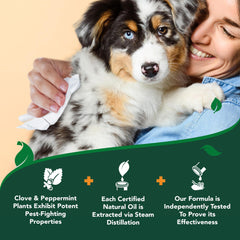 Vet's Best toallitas para perros, cerca del envase, limpieza de jaulas y superficies.