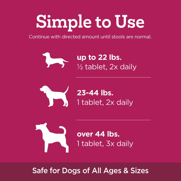Comprimés masticables Vetality Stop The Runs pour chien en déplacement.
