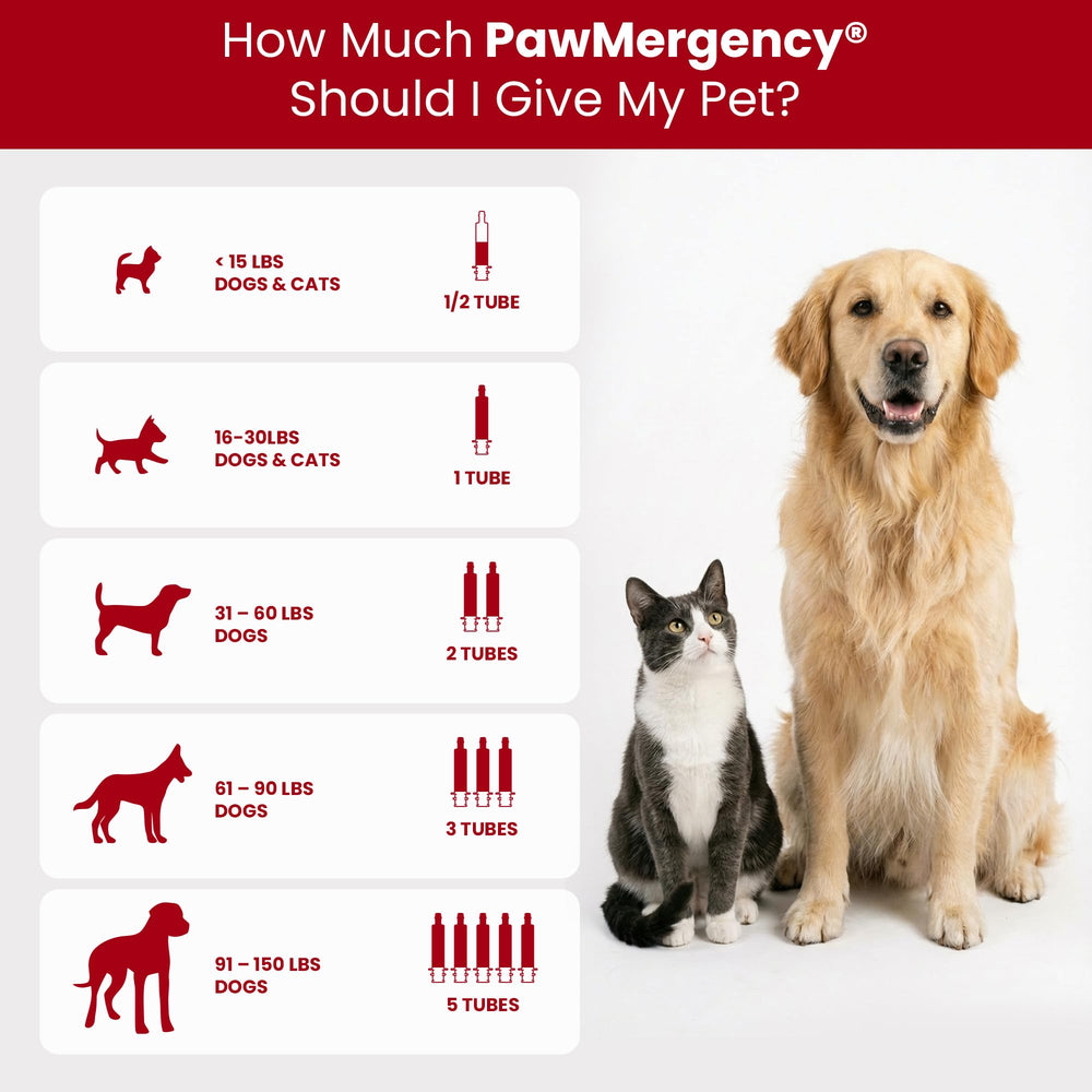 PawMergency para emergencias de mascotas, listo para uso inmediato.