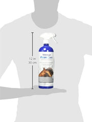 Presentación de 32 onzas de FoamCare para baños completos.