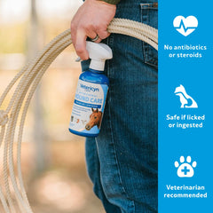 Kit de primeros auxilios para caballos con Vetericyn Plus, apoyo para el cuidado diario.