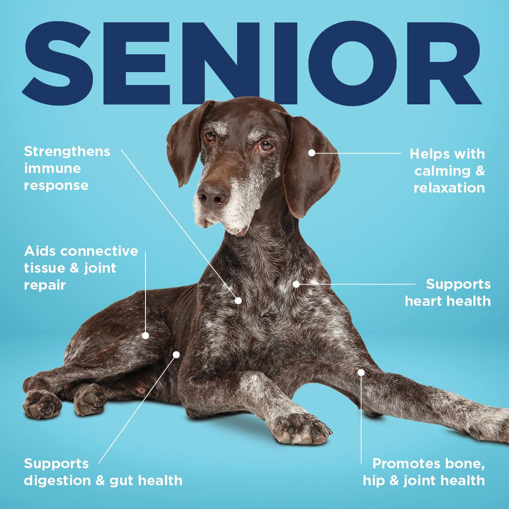Vetericyn Senior articulaciones y movilidad para perros mayores