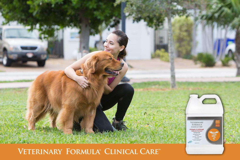 Aplicación con Veterinary Formula Clinical Care durante el baño, espuma suave para piel sensible.