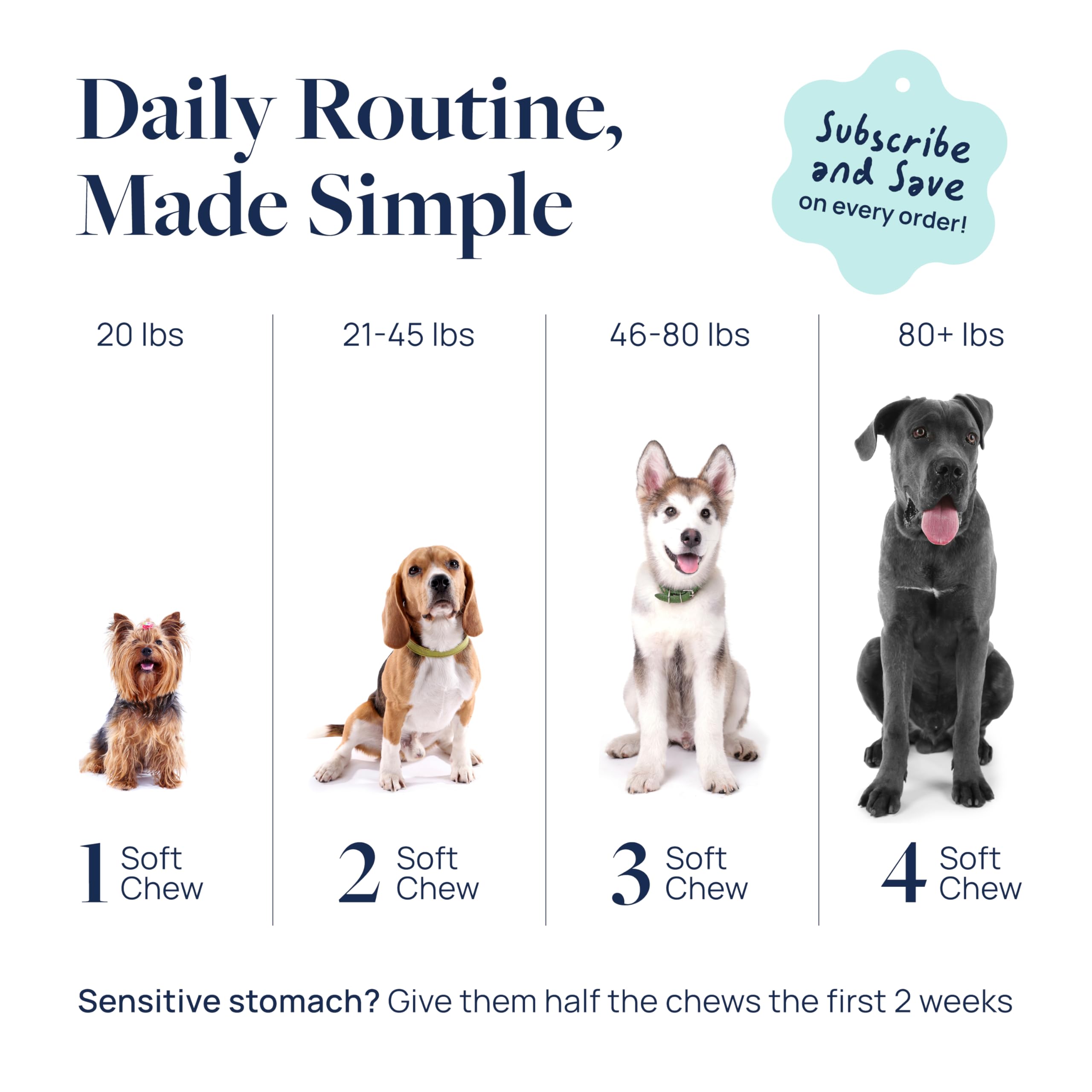 Fórmula veterinaria sabor amigable para perros al consumir