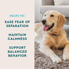 VetIQ Calming suplemento relajante para perros, frasco, apoya la tranquilidad diaria.