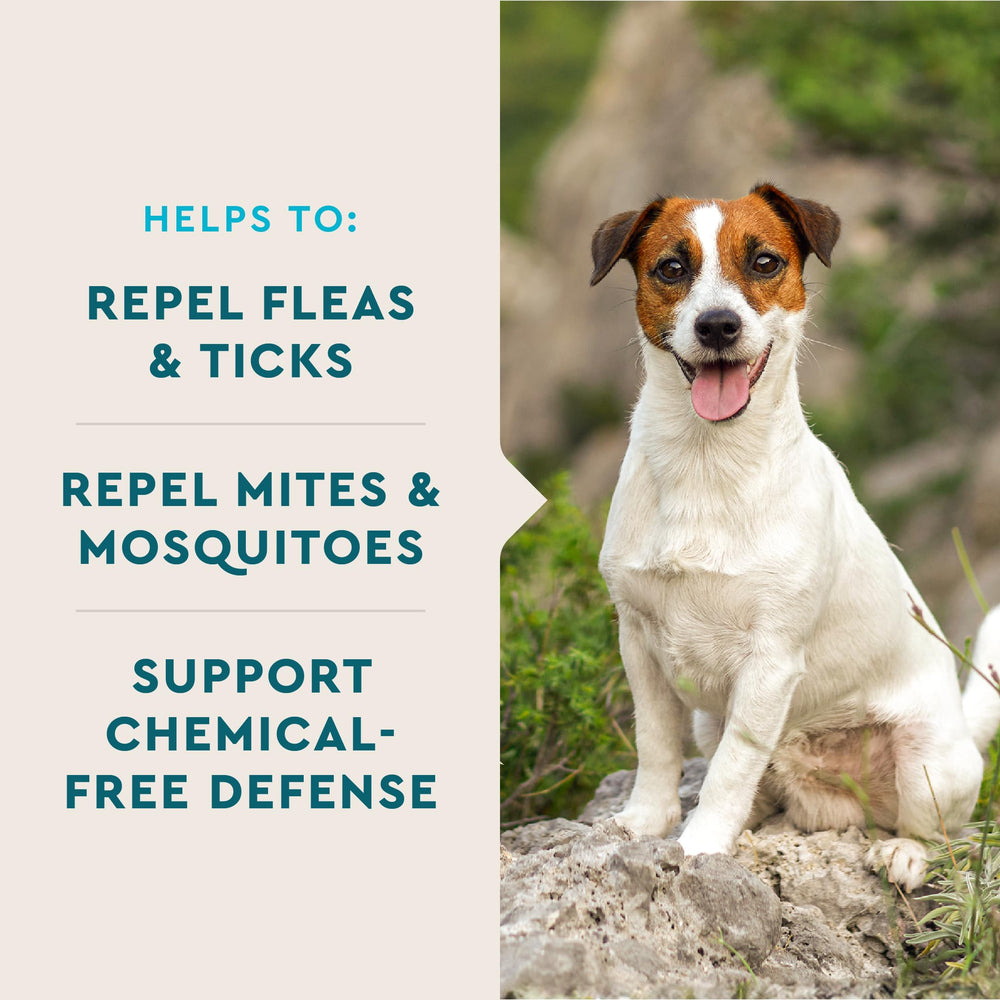 VetIQ Flea & Tick Support pouch, daily dog supplement for pest defense.