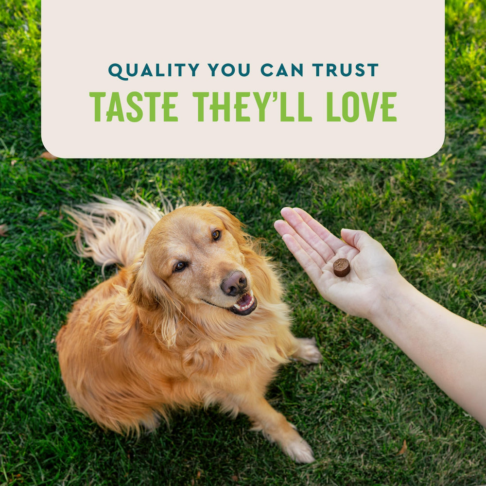 VetIQ Probiotic para perros, complemento digestivo para uso diario con comida.