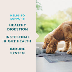 Ingredientes clave L. reuteri en VetIQ Probiotic para perros, soporte intestinal.