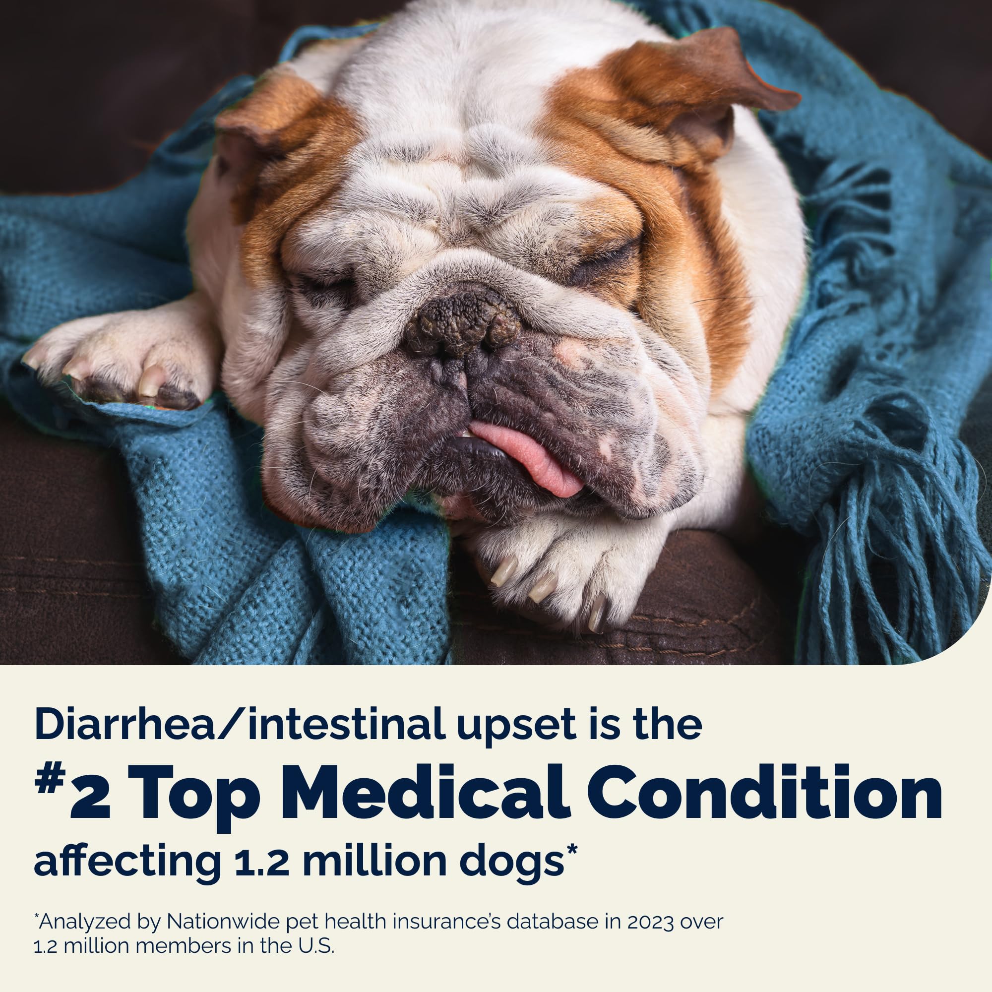 Glandex Vetnique enzimas digestivas naturales para perros, ayuda suave.