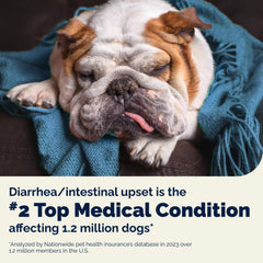 Glandex Vetnique enzimas digestivas naturales para perros, ayuda suave.