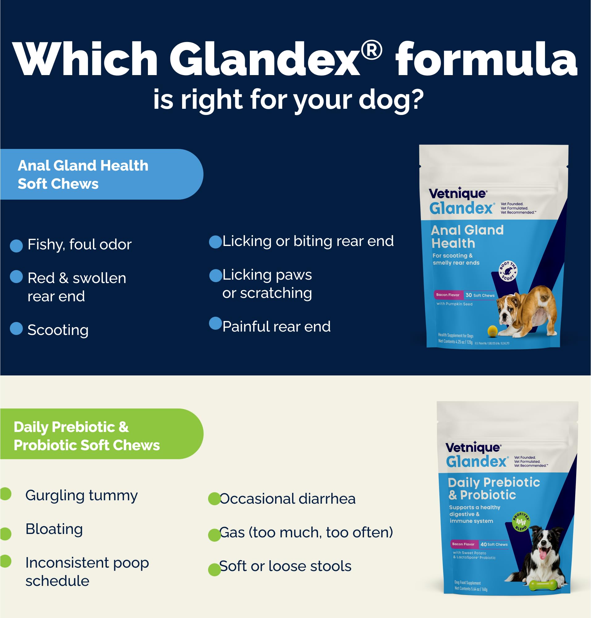 Glandex Vetnique producido en USA, ingredientes globales para perros.