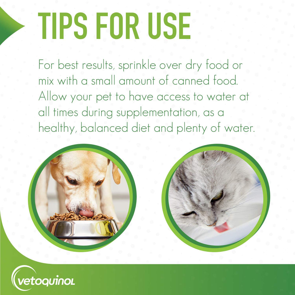 Gato usando Epakitin: complemento apetitoso para apoyo renal.