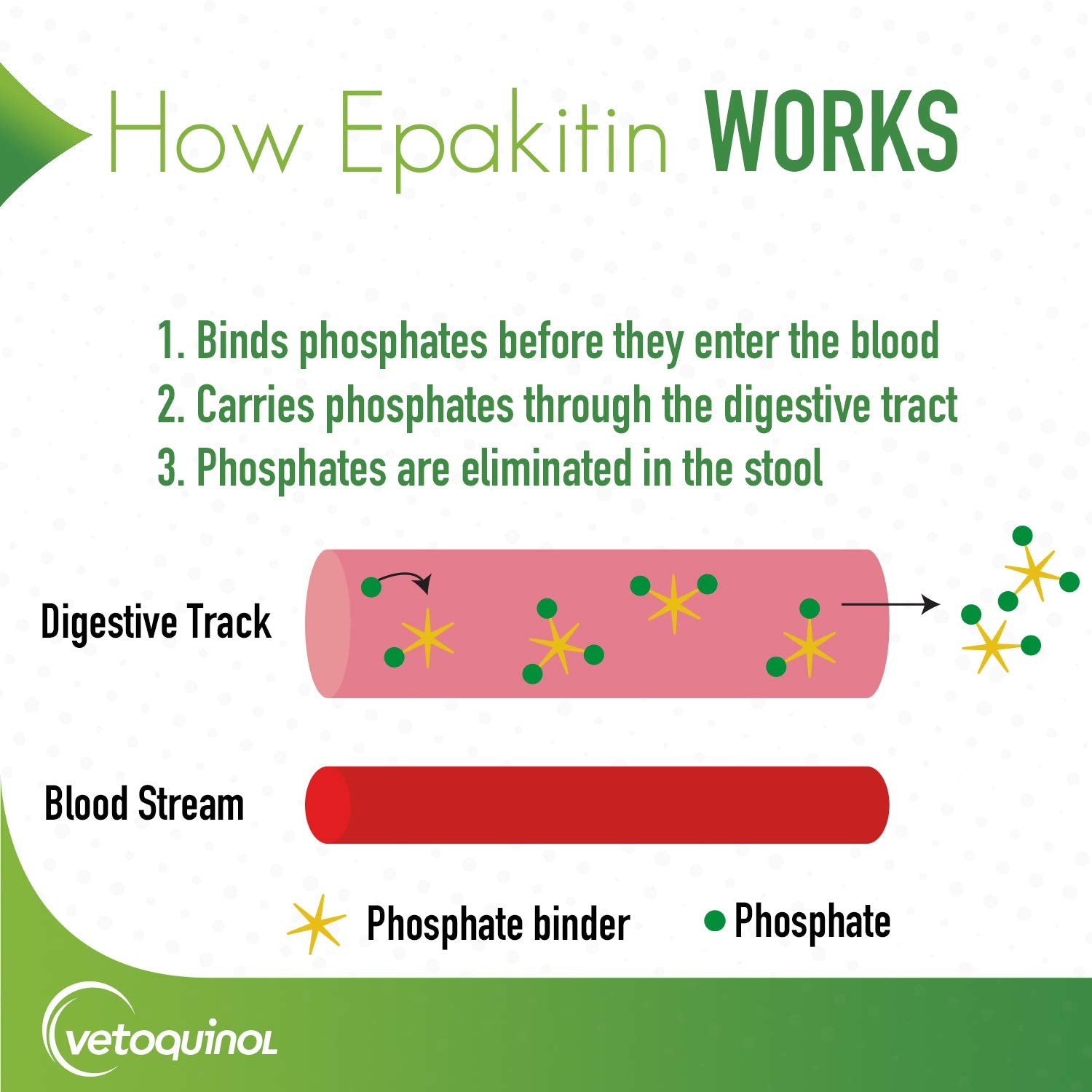 Vetoquinol Epakitin polvo mezclado con comida diaria