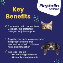 Flexadin Advanced: ingredientes como colágeno no desnaturalizado para soporte articular.