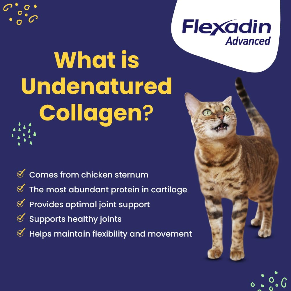 Imagen de ingredientes clave, omega-3 y vitamina E de Flexadin Avanzado.