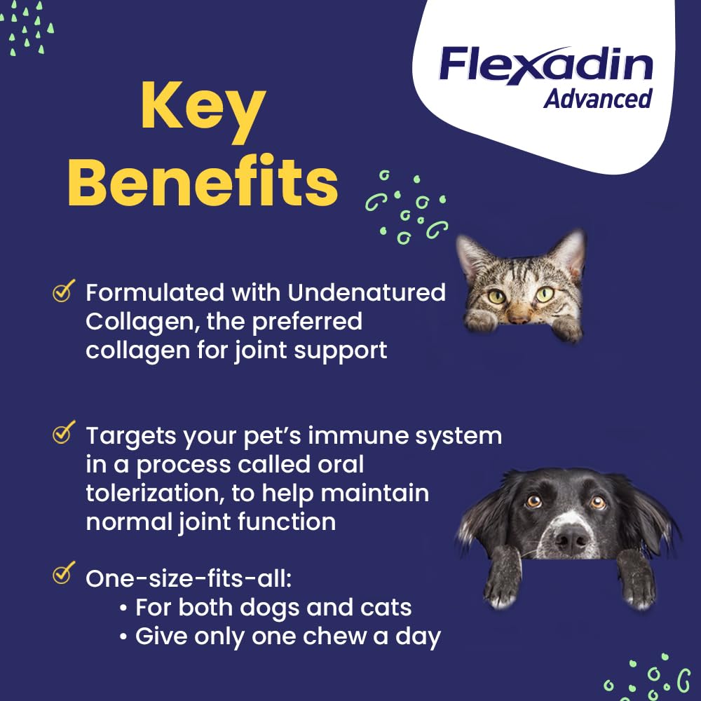 Vetoquinol Flexadin Avanzado – masticables para perros y gatos con sabor agradable.