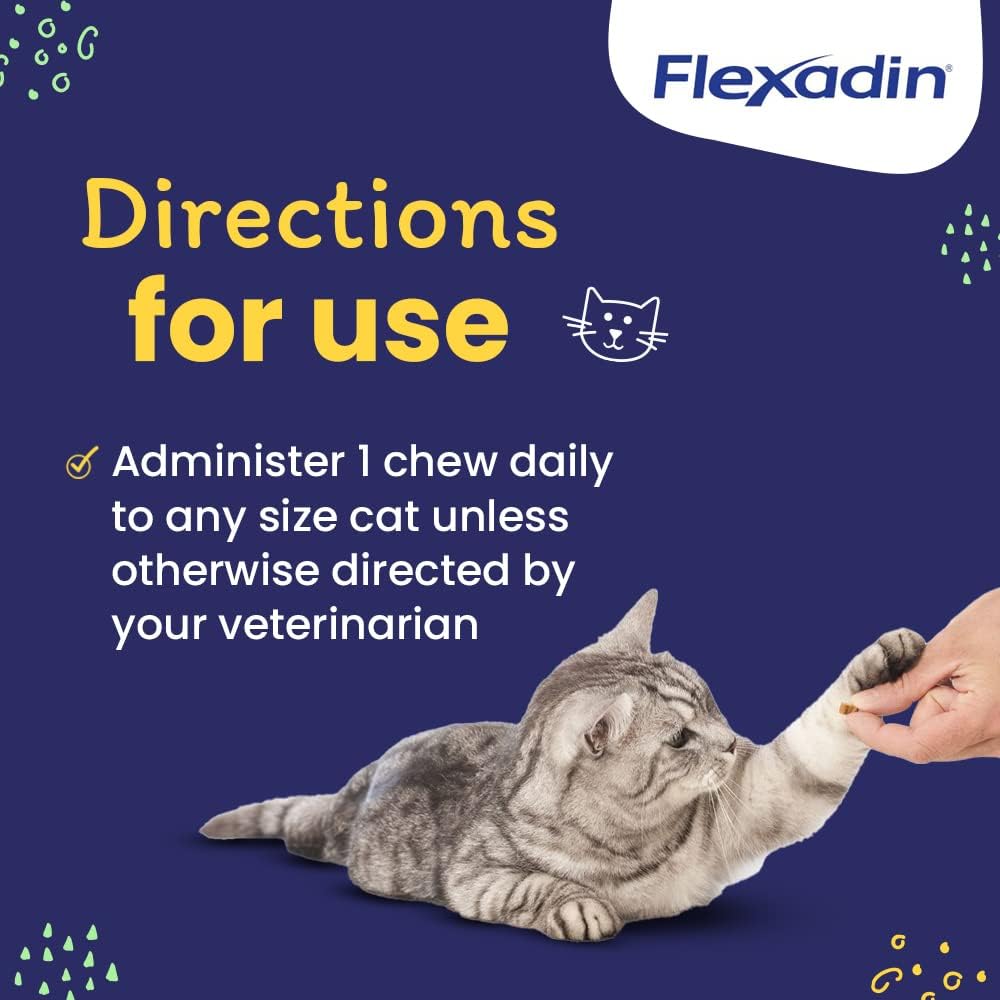 Vetoquinol Flexadin Cat gato en casa con movilidad gradual