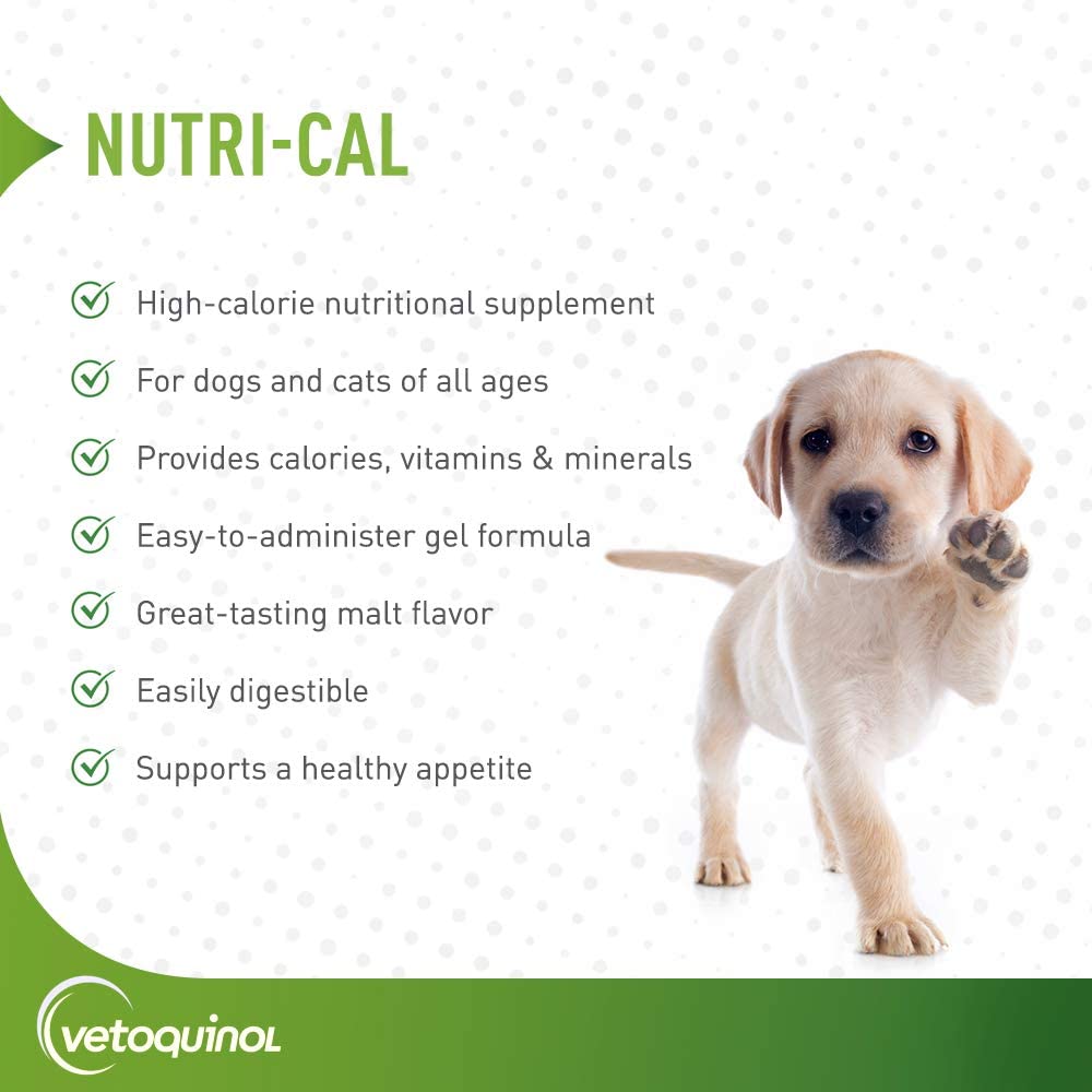 Nutri-Cal de Vetoquinol, estimula el apetito, ideal para mascotas selectas.
