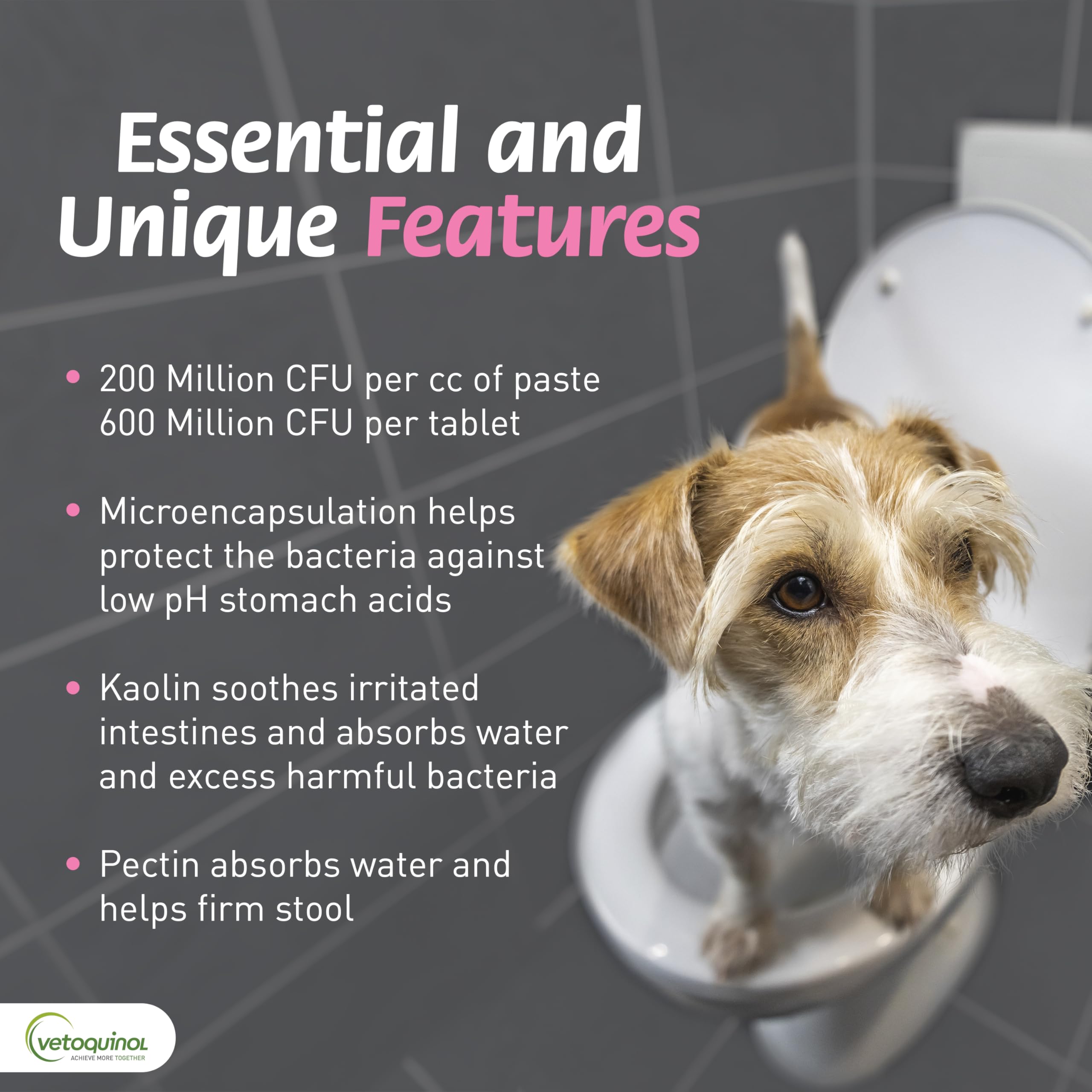 Tabletas masticables para diarrea ocasional en mascotas, fáciles de ofrecer.