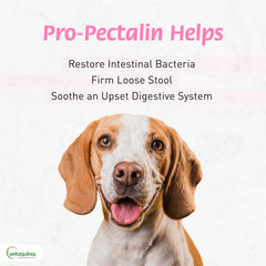 Pro-Pectalin, textura masticable para perros y gatos, facilita la toma diaria.