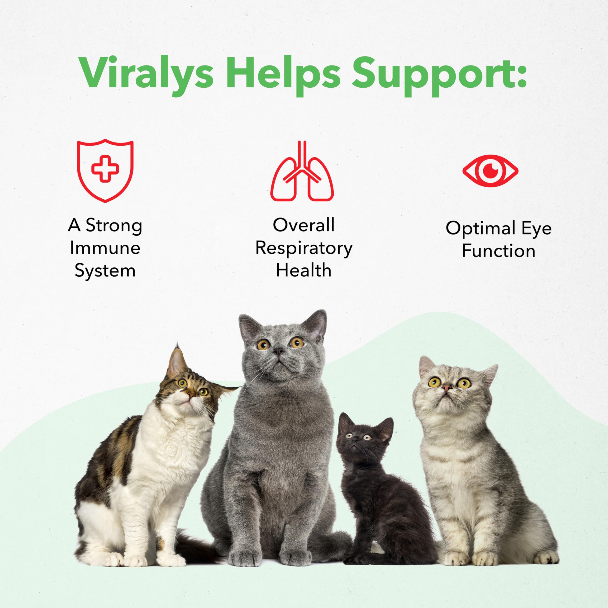 Vetoquinol Viralys: apoyo a ojos y sistema respiratorio en gatos.