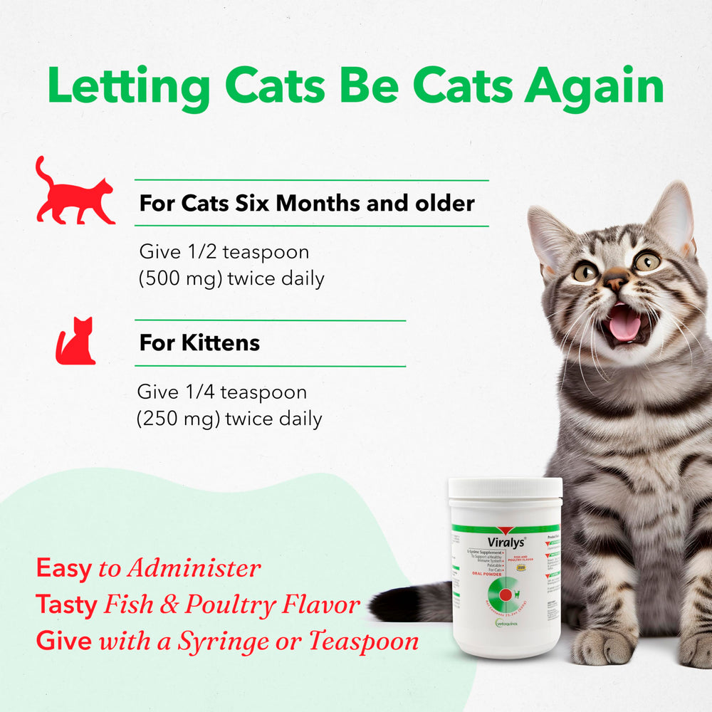 Vetoquinol Viralys: gato de todas las edades, uso recomendado.