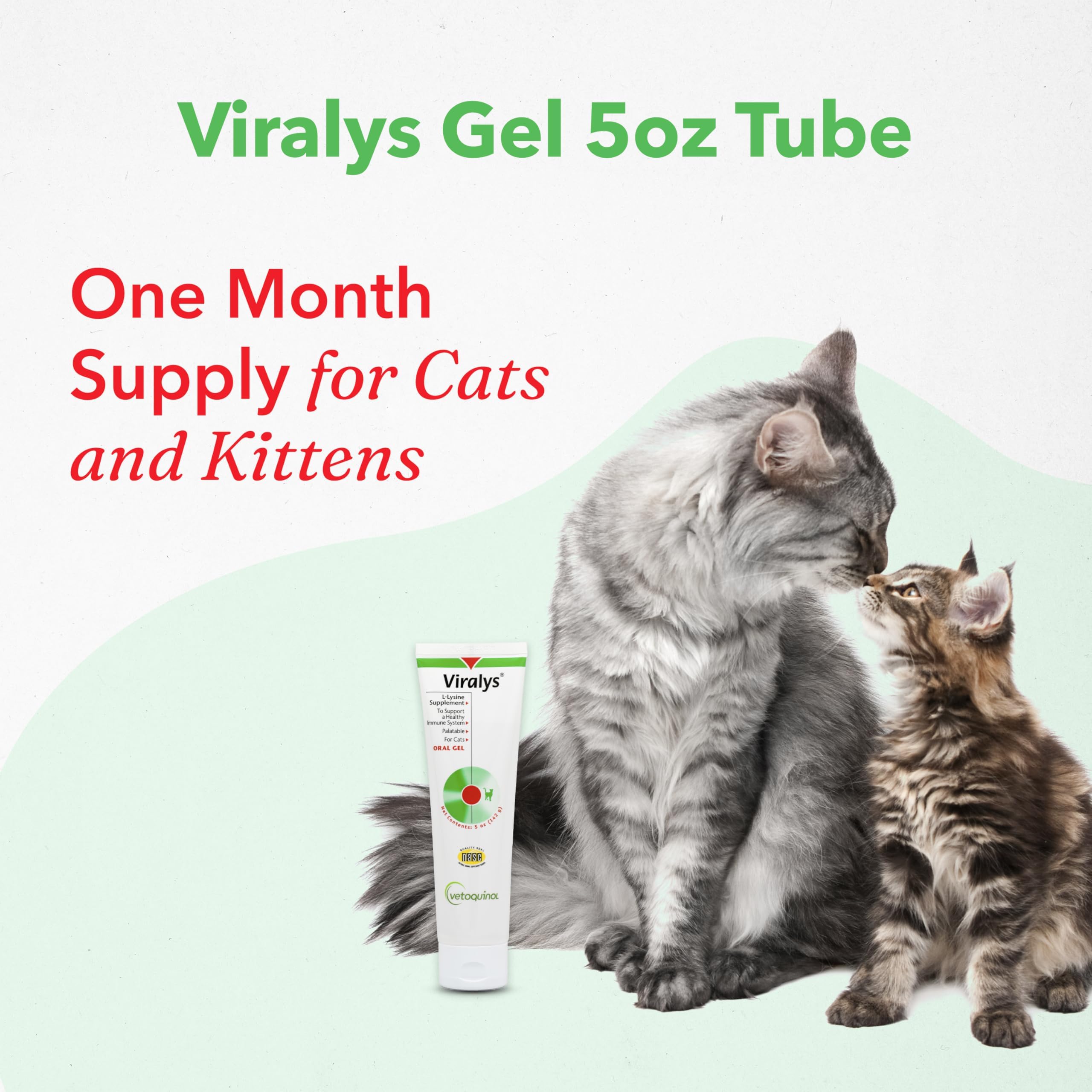 Vetoquinol Viralys Gel apoyo inmunitario felino.