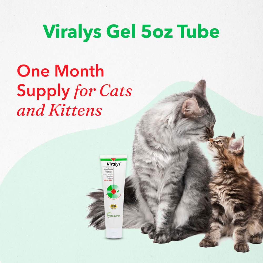 Vetoquinol Viralys Gel apoyo inmunitario felino.
