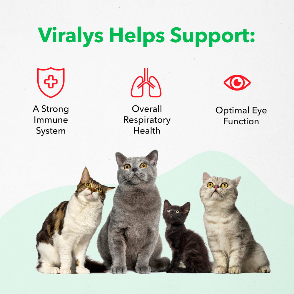 Vetoquinol Viralys Gel uso diario seguro para felinos.