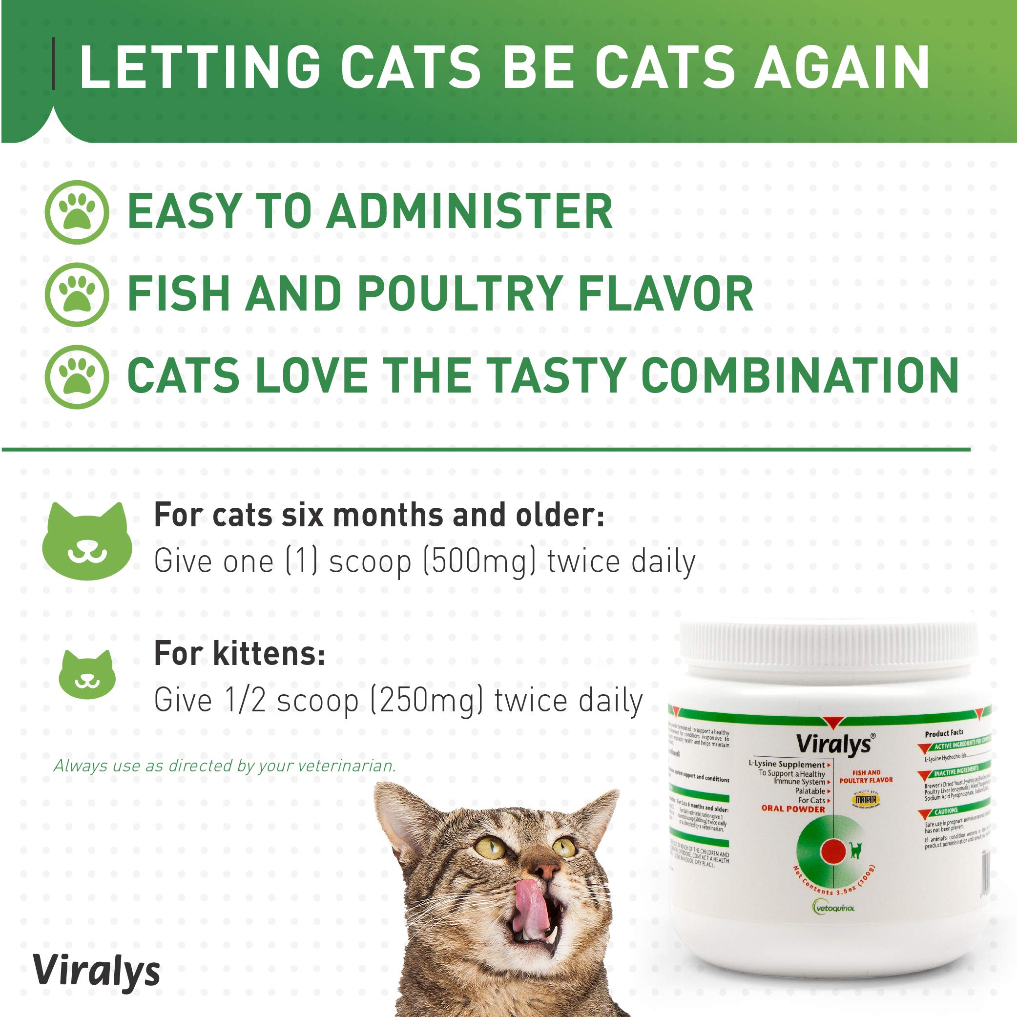 Uso diario de Viralys para gatos, apoyo ocular y respiratorio.