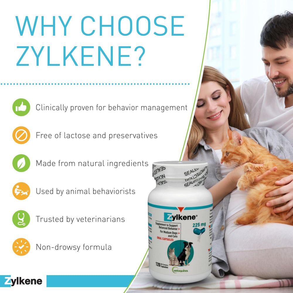 Vetoquinol Zylkene para perro mediano, ayuda a promover la calma ante cambios de rutina.