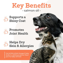 VetPro Complete, aceite de salmón Alaska vertido sobre comida para mantener a tu mascota activa.