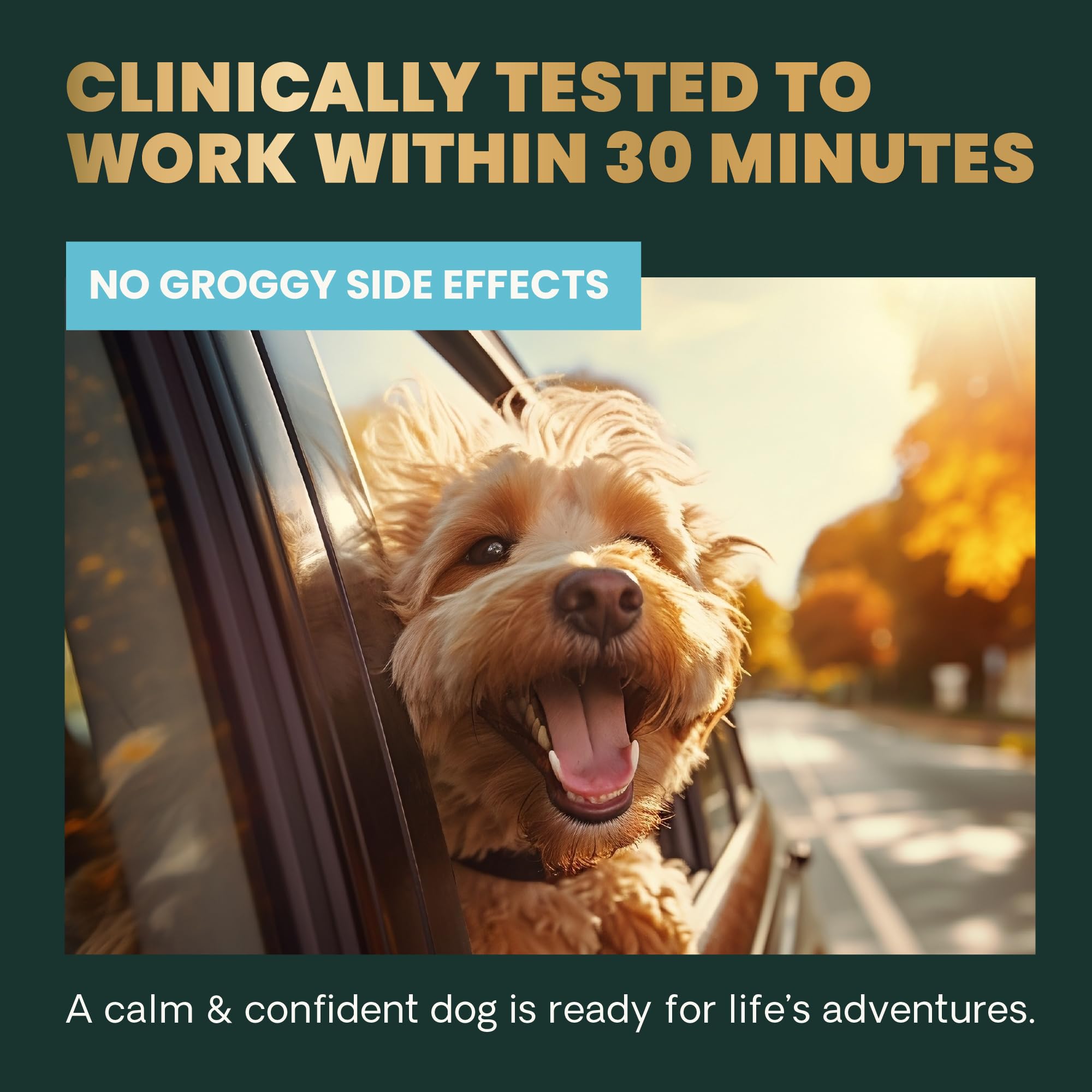 VETRISCIENCE Calm & Confident: sabor mantequilla de maní que encanta a perros
