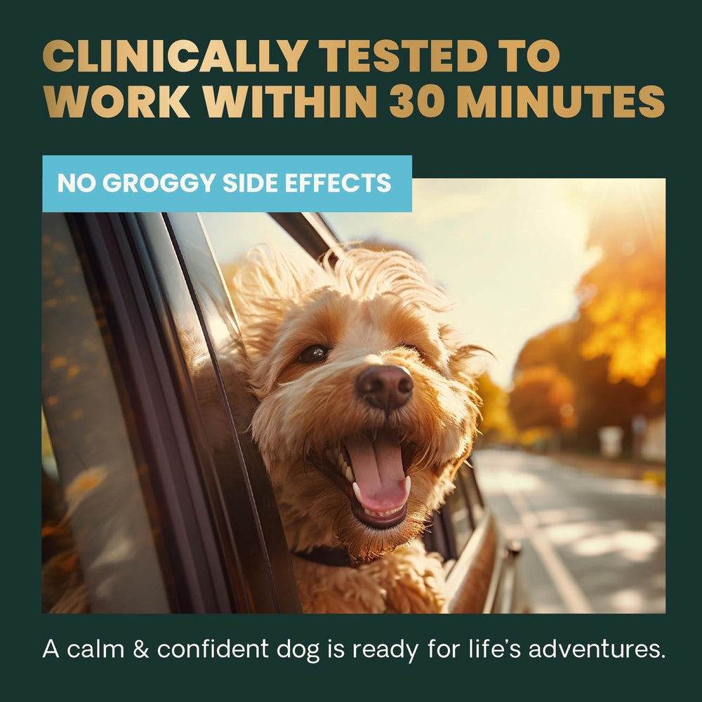 VETRISCIENCE Calm & Confident: sabor mantequilla de maní que encanta a perros