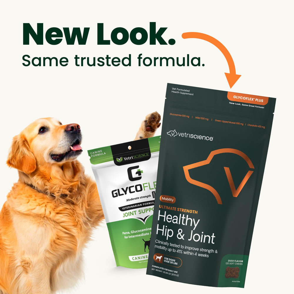 GlycoFlex con glucosamina y mejillón verde para movilidad articular canina.