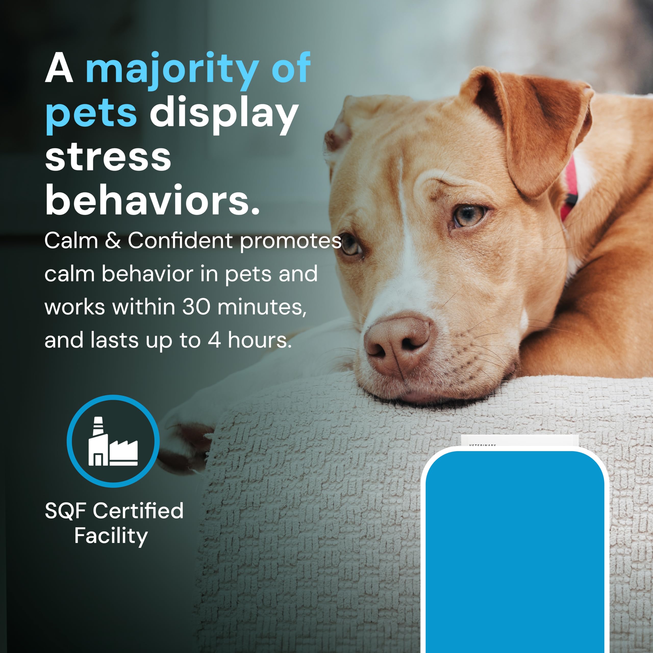Apoyo al bienestar diario de tu mascota con VetriScience y 60 masticables