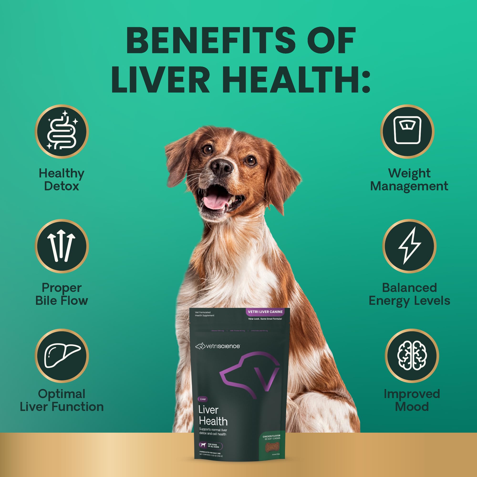 Apoyo al flujo de bilis y detoxificación natural en perros