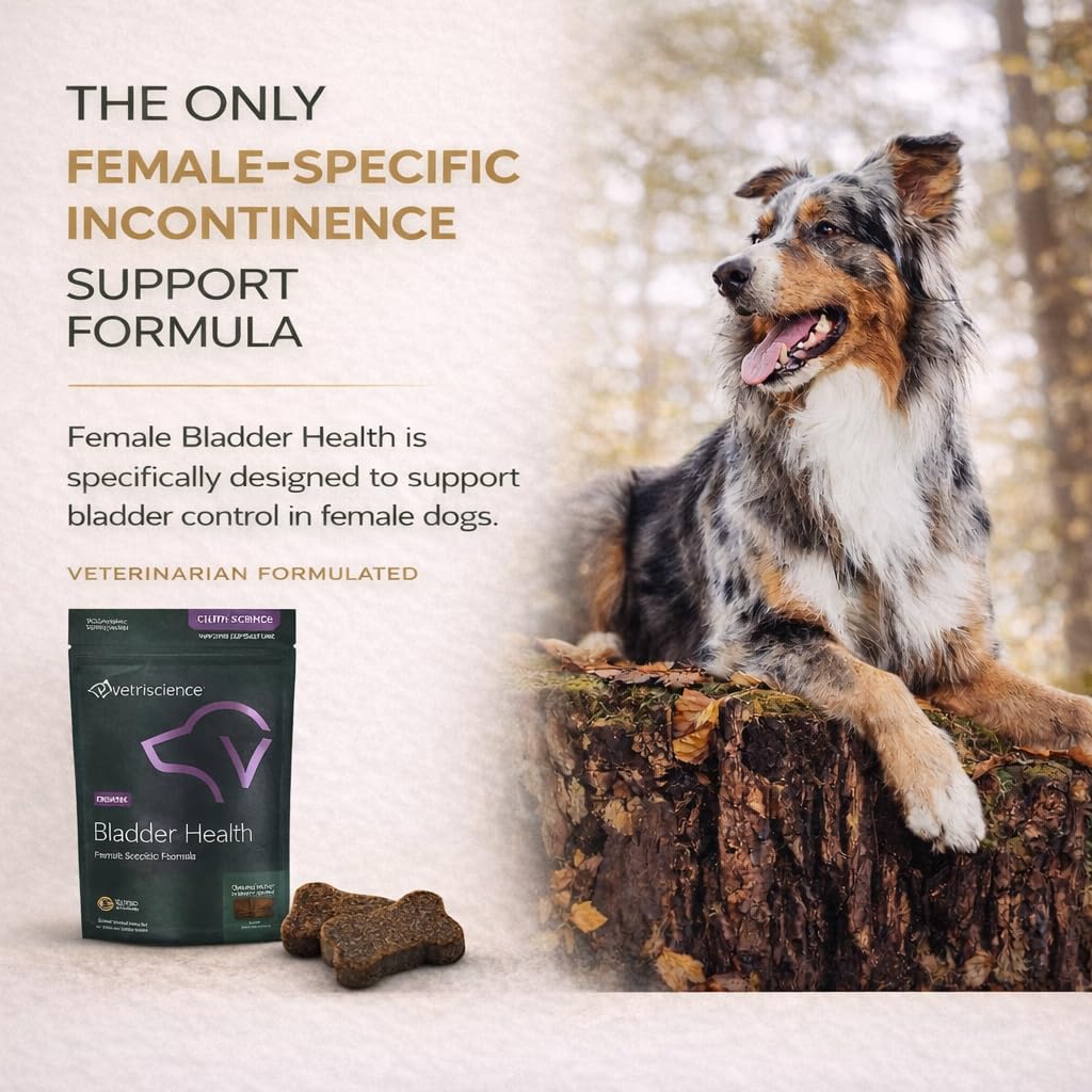 Frasco VetriScience Bladder Health con gomitas sabrosas para uso diario.