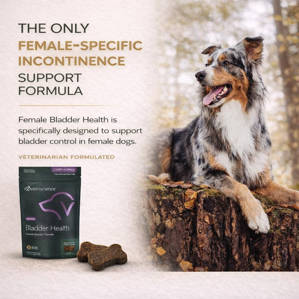 Frasco VetriScience Bladder Health con gomitas sabrosas para uso diario.
