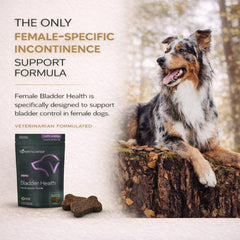 Frasco VetriScience Bladder Health con gomitas sabrosas para uso diario.
