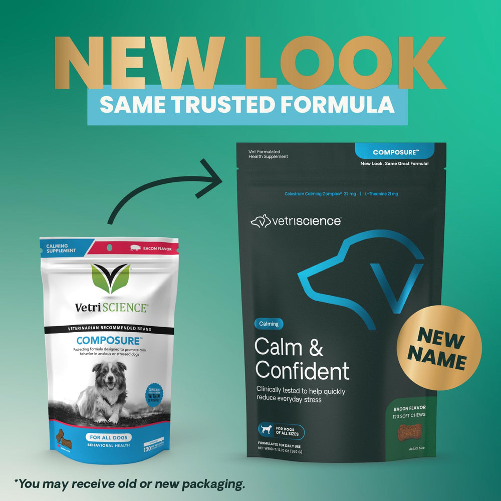 VETRISCIENCE Calm & Confident perro oliendo masticables.