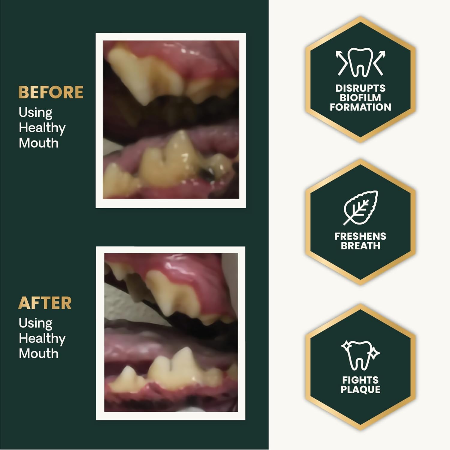 Probióticos en VetriScience Healthy Mouth equilibran bacterias orales