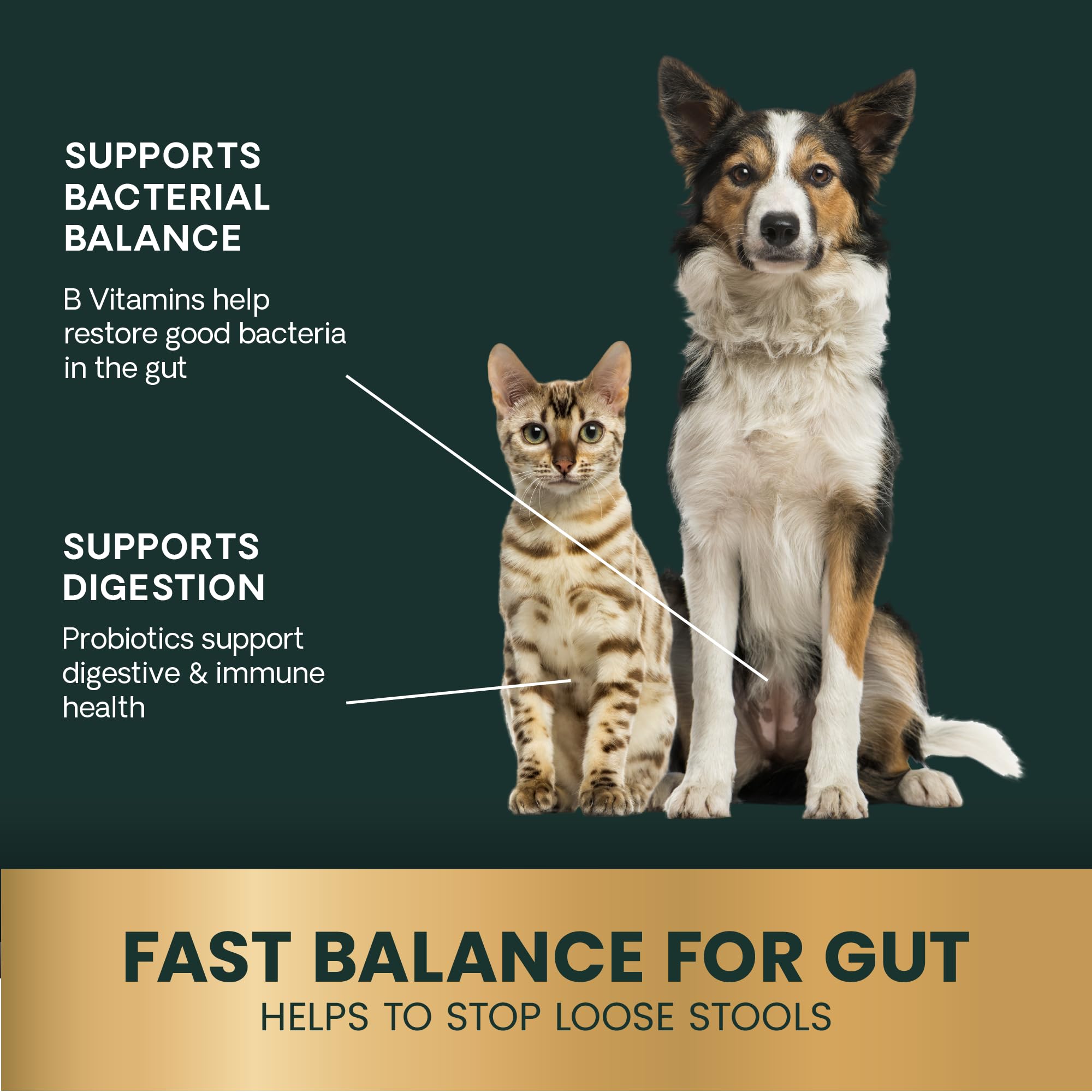 Diarrea: VetriScience ayuda a equilibrar la microbiota e irritación intestinal.