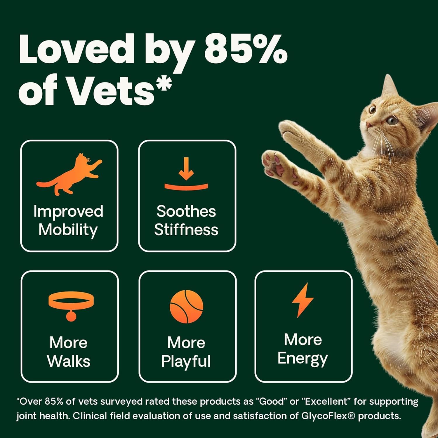 VetriScience DMG para gato, apoyo a circulación y energía