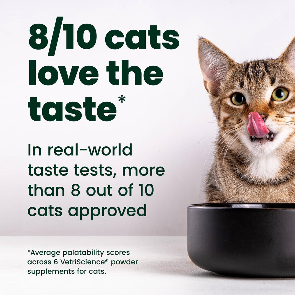 Dosis de 500 mg para gatitos, facilita la dosificación diaria para crecimiento.