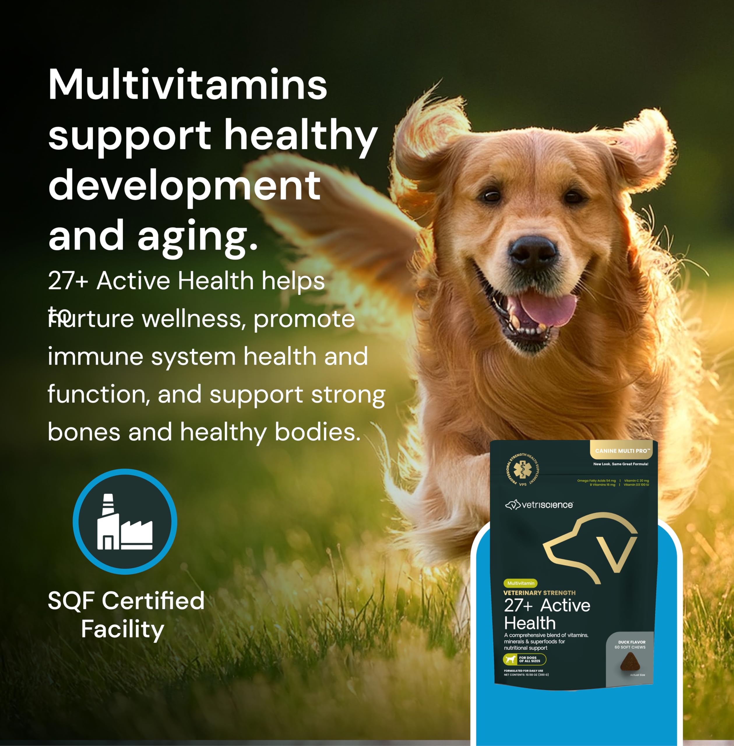 Perro disfruta los masticables VetriScience con sabor pato durante la rutina.