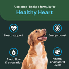 Gato tomando gomita VETRISCIENCE, ejemplo de uso suave y agradable.