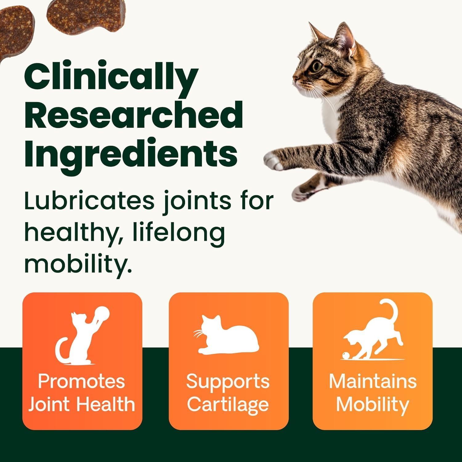 VetriScience glucosamina y MSM para gato, apoyo a la salud de articulaciones