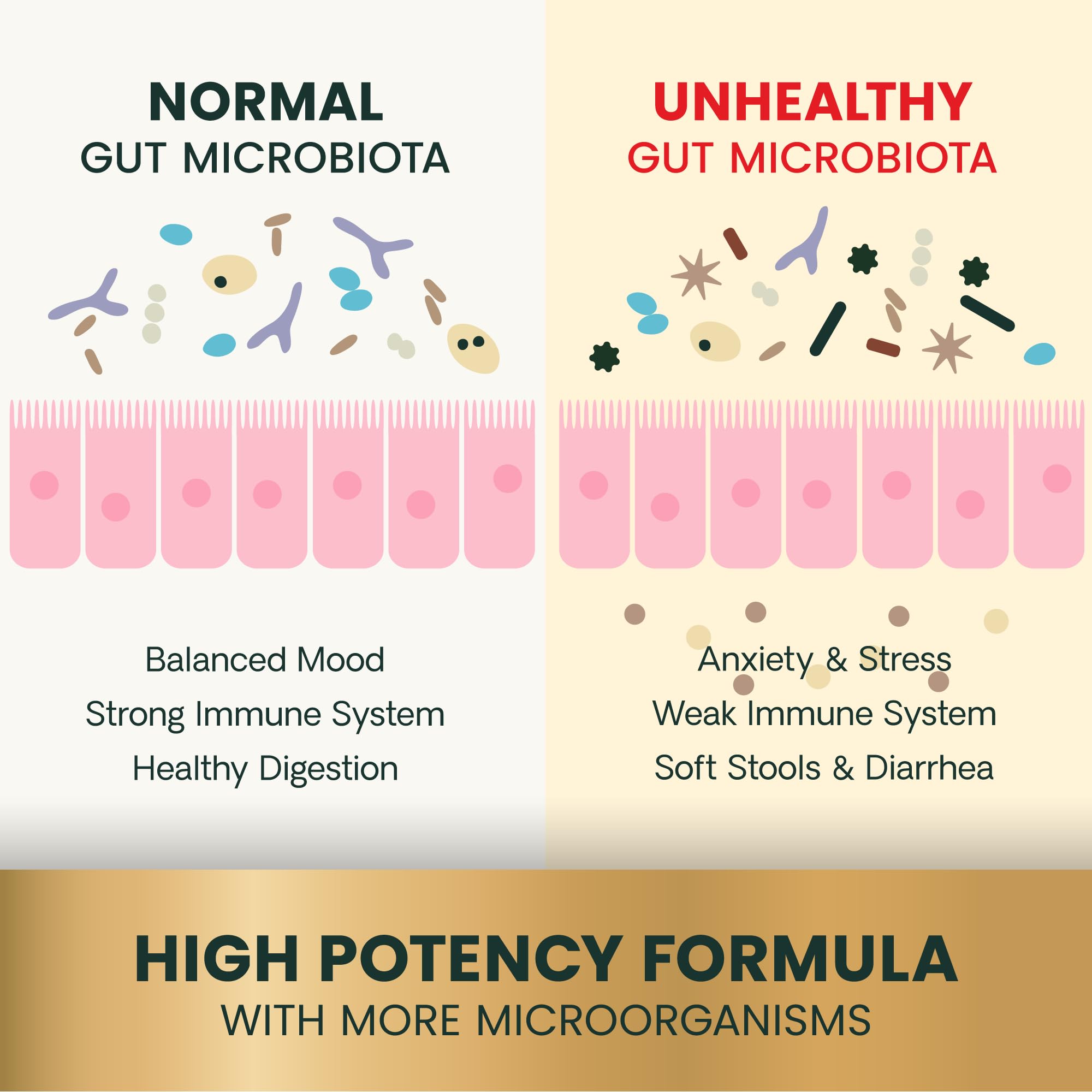VetriScience Gut Health: botella de cápsulas para perros y gatos